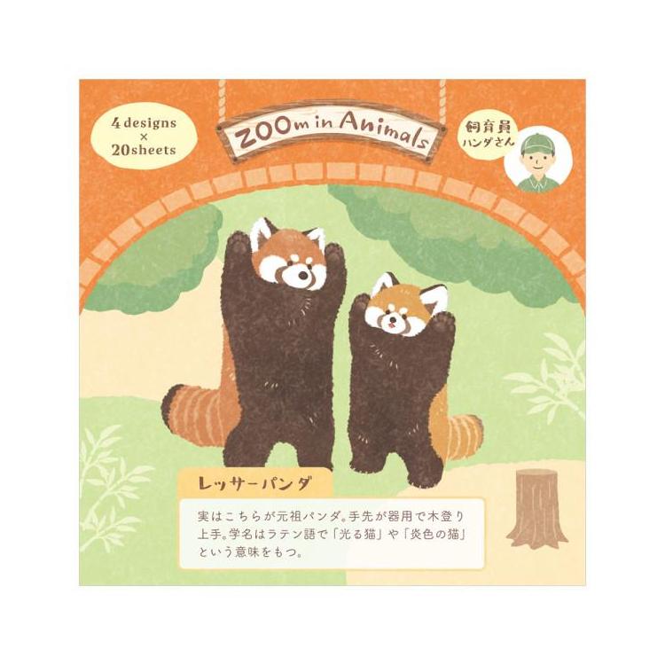 メモ ズームイン レッサーパンダ2 レッサーパンダ2