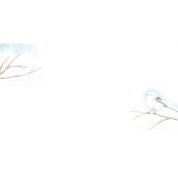 冬柄 封筒 シマエナガ