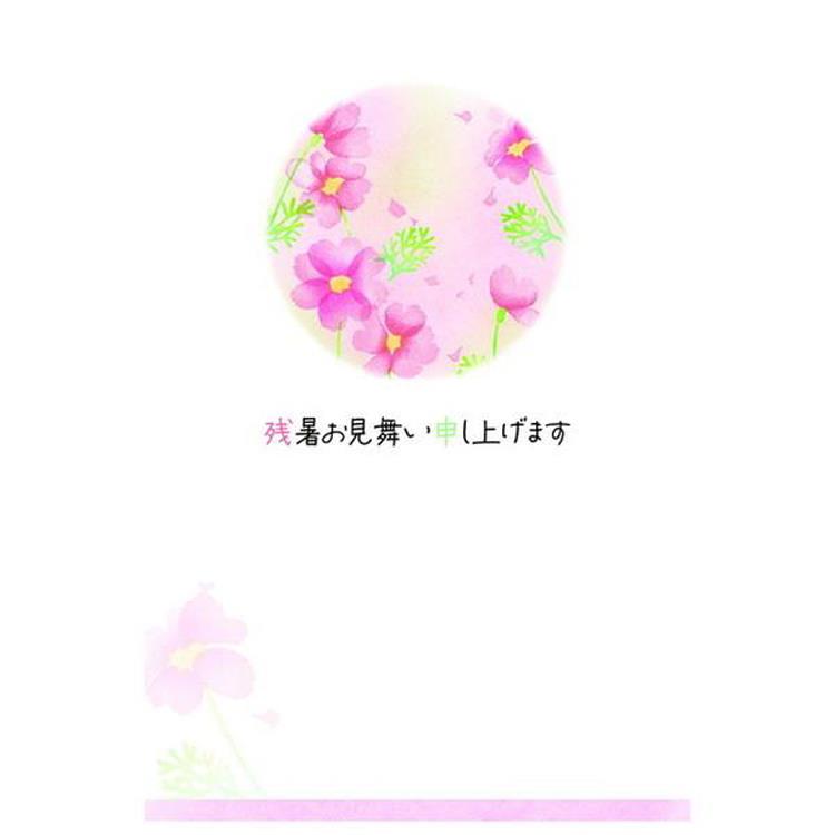 夏柄 残暑お見舞い ポストカード 秋桜だより 秋桜だより