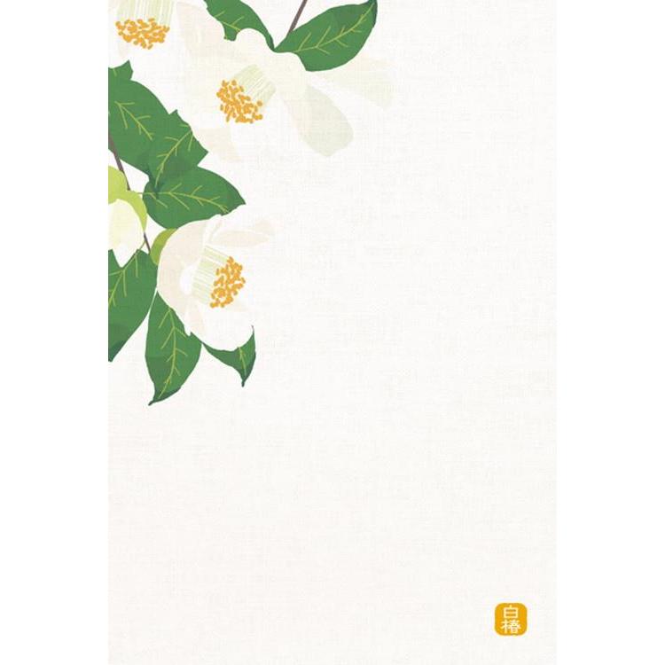 寒中見舞いはがき 白椿 3枚入り