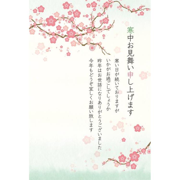寒中見舞いはがき ピンクの梅 3枚入り