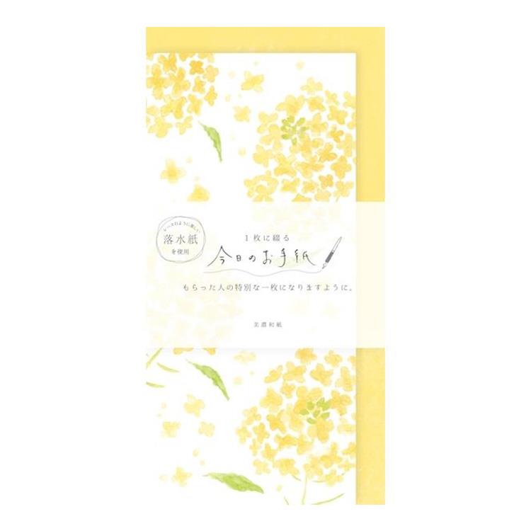 春柄 今日のお手紙 菜の花 菜の花