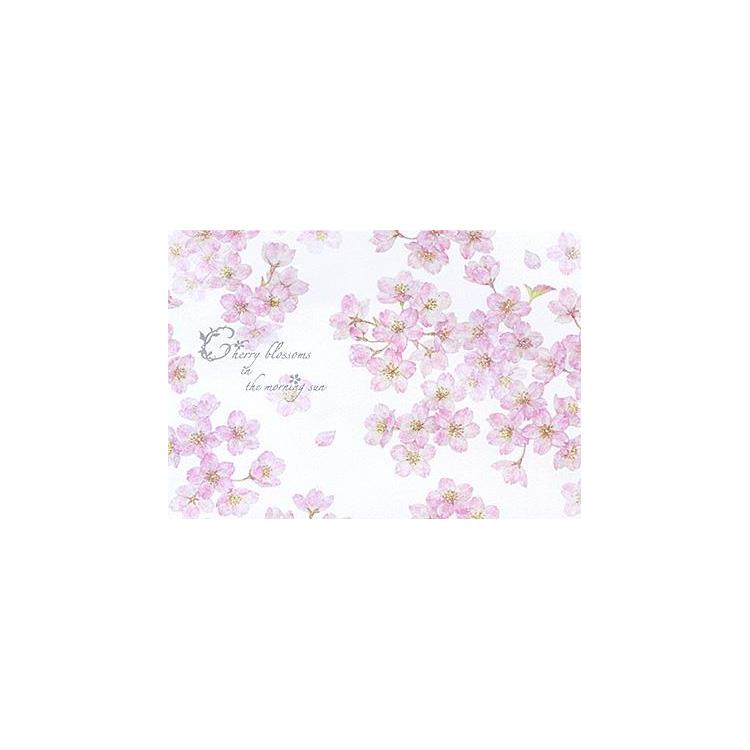 ふみ揃え便箋 チェリーブロッサム イン ザ モーニング サン