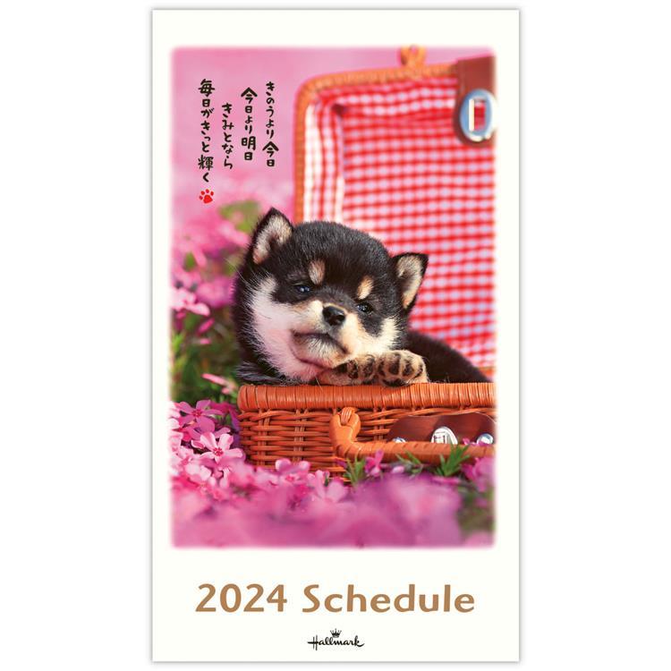 カレンダー 2024 卓上 ホールマーク ほめわんこ YDC-824-341 ...