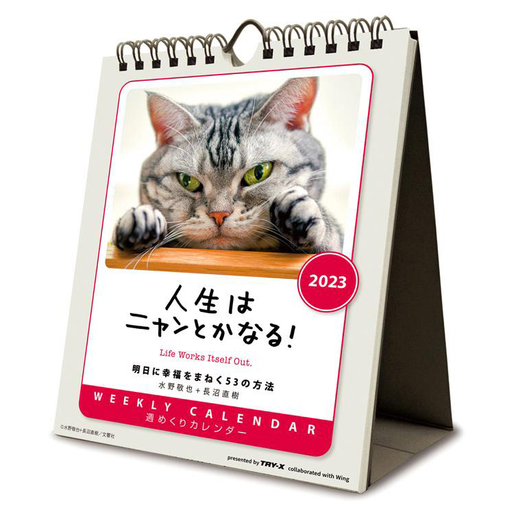 ✨ラスト1点✨　日めくりワンコ！2023年リフィル(卓上日めくりカレンダー犬版）