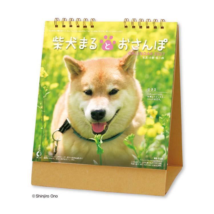 2027年1月始まりカレンダー 卓上 柴犬まるとおさんぽ