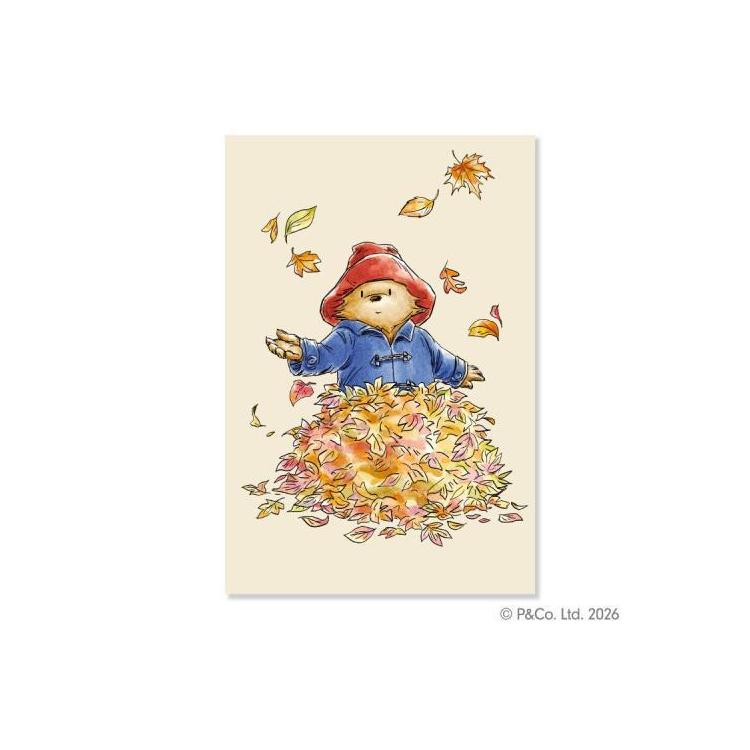 秋柄 ポストカード パディントン 紅葉 紅葉