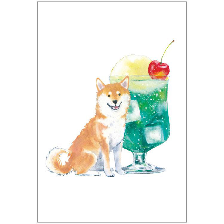 夏柄 ポストカード しばいぬとおいしい夏 クリームソーダ