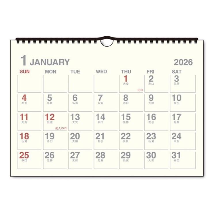 2026年1月始まりカレンダー 壁掛け A4 DAYSTATION アイボリー
