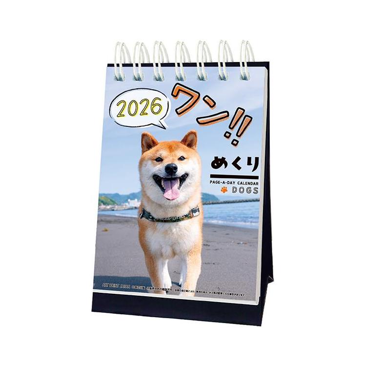2026年1月始まり 卓上 日めくりカレンダー ワン!!めくり ワン!!めくり