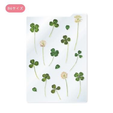 下じき B6 押し花・クローバー