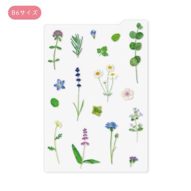 下じき B6 草木花・ハーブ