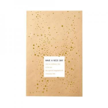 フロントクリアバッグ クラフト シャイン