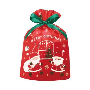 かわいいクリスマスラッピング袋とレゴ(R)ブロックのセット商品