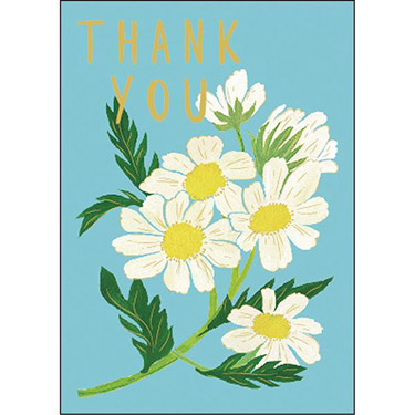 ミニカード サンキュー デイジー