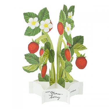 ブルーミングミニカード ストロベリー