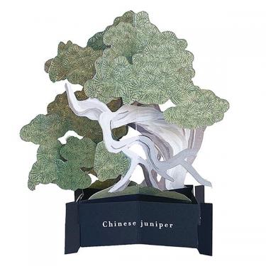 多目的カード 立体 BONSAI 真柏