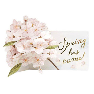 桜カード ソメイヨシノ