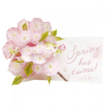 桜カード 八重桜