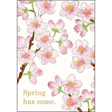 桜カード さくら