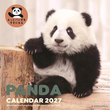 2027年1月始まり 壁掛け カレンダー パンダ