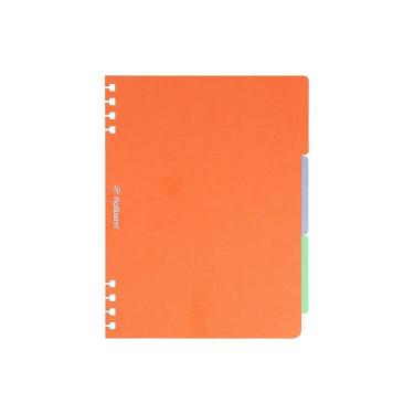 ロルバーン フレキシブル L インデックスシート A