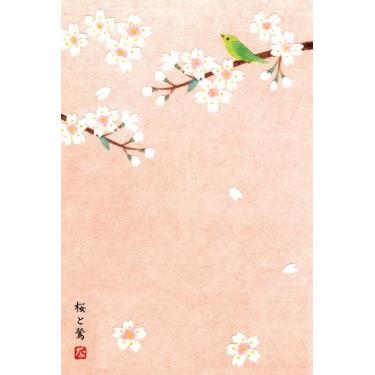 季節はがき 桜と鴬