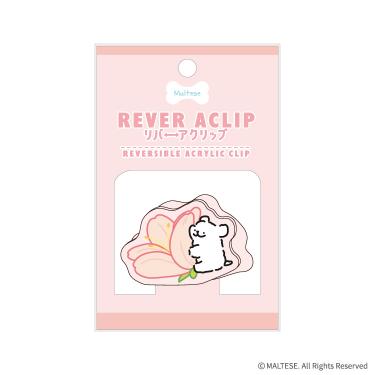 リバーアクリップ モルチーズ くっつき