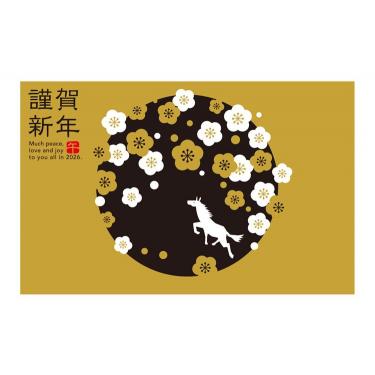 お年玉付き年賀はがき A-44 5枚入り
