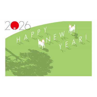 お年玉付き年賀はがき A-45 5枚入り