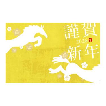 お年玉付き年賀はがき A-56 5枚入り