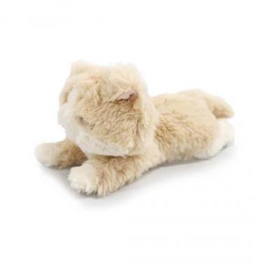 マスコット くたっとびより スコティッシュ