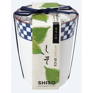 染付小紋薬味小鉢 しそ