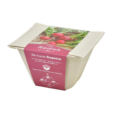 バガスグリーン ラディッシュ 栽培キット