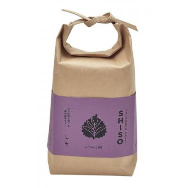 TSUTSUMI 栽培セット しそ