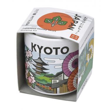 お芽でたおちょこ 栽培セット JAPAN 京都 三つ葉 お芽でたおちょこ 栽培セット JAPAN 京都 三つ葉