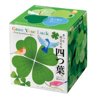 きっと出会える四つ葉栽培キット