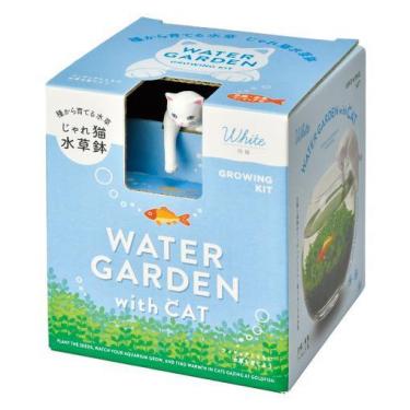 じゃれ猫水草鉢 白