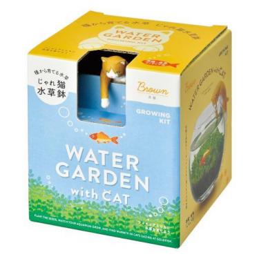 じゃれ猫水草鉢 茶ハチワレ