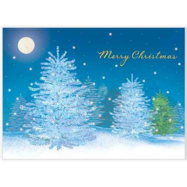 クリスマスポストカード PX4468