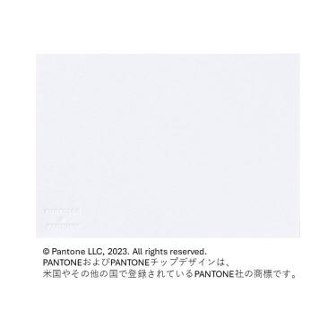 フォトメッセージカード ホワイト