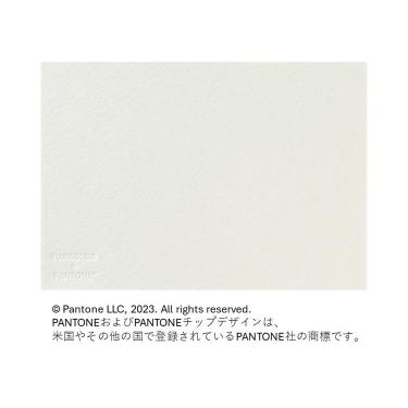 フォトメッセージカード アイボリー