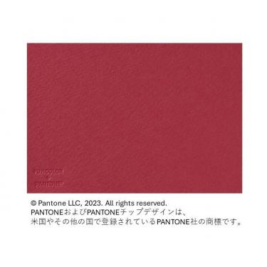 フォトメッセージカード レッド