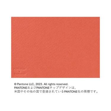 フォトメッセージカード バーミリオン