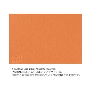 フォトメッセージカード オレンジ