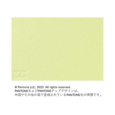 フォトメッセージカード レモンイエロー