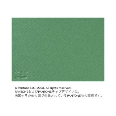 フォトメッセージカード グリーン