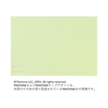 フォトメッセージカード ライトグリーン