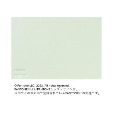 フォトメッセージカード クリアグリーン