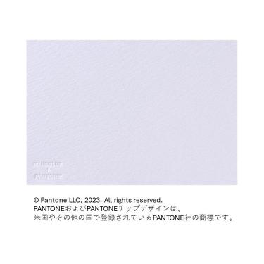 フォトメッセージカード クリアパープル